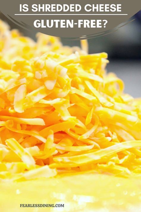 With all the different types of grated cheese out there. It comes in many delicious varieties. Is shredded cheese gluten free? Gluten Free Brands, Gluten Free Cheese, Gluten Free Cooking, Grated Cheese, Shredded Cheese, Different Types, Gluten Free, Cheese