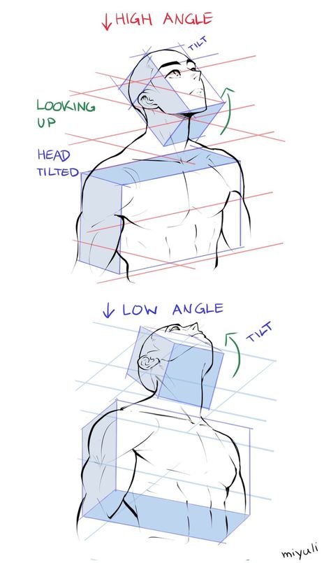 Character Design Ideas, Oc Character Design, Head Tilt, Oc Character, Perspective Drawing Lessons, 얼굴 드로잉, Human Anatomy Drawing, Body Drawing Tutorial, Human Anatomy Art