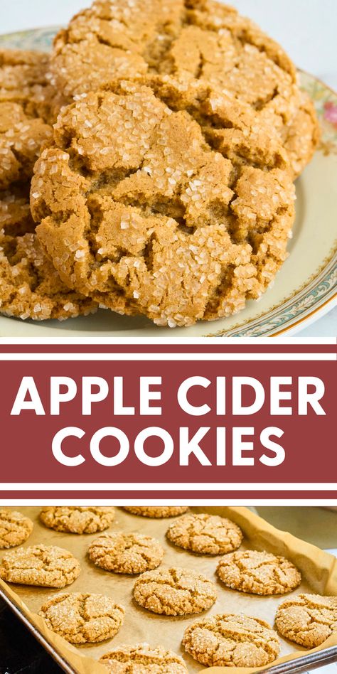 Blue Bowl Apple Cider Cookies, Kitchen Aid Mixer Recipes Cookies, Fall Themed Cookies Easy, Apple Cider Desserts Easy, Thanksgiving Cookie Flavors, Fall Bar Cookie Recipes, Spicy Cookie Recipes, Apple Cider Sugar Cookies, What To Make With Apple Cider