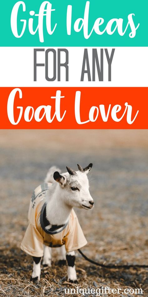 What to Buy Someone Who Loves Goats |Goats  Lovers | Creative Gifts For Goats Lovers | Special Presents for Someone Who LovesGoats  | Unique Gifts For Goats  Lovers | #Goats  #animallover #gifts Special Presents, Goat Gifts, Goat Lover, Cute Goats, Farm Gifts, Mason Jar Gifts, 20 Gifts, Baby Goats, What To Buy