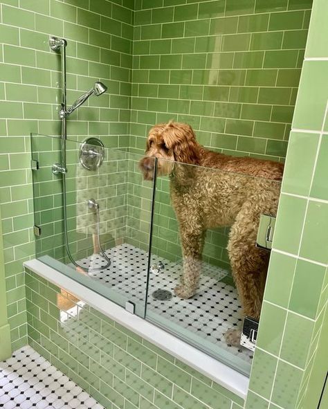 Jenkins Interiors, Pet Cafe, Pet Washing Station, Pet Station, Pet Grooming Salon, Dog Grooming Shop, Dog Washing Station, Dog Grooming Salons, Instagram Dog