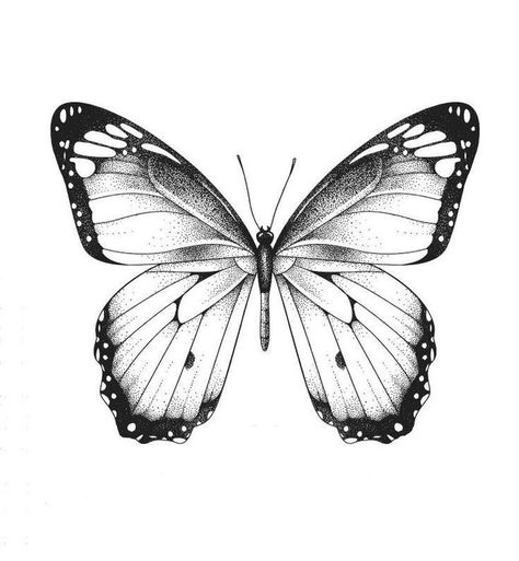 Realistic Butterfly Tattoo, Cabbage Butterfly, Borboleta Tattoo, Butterfly Tattoos Images, Butterfly Tattoo Stencil, Unique Butterfly Tattoos, Tattoo Shading, Butterfly Stencil, Muster Tattoos