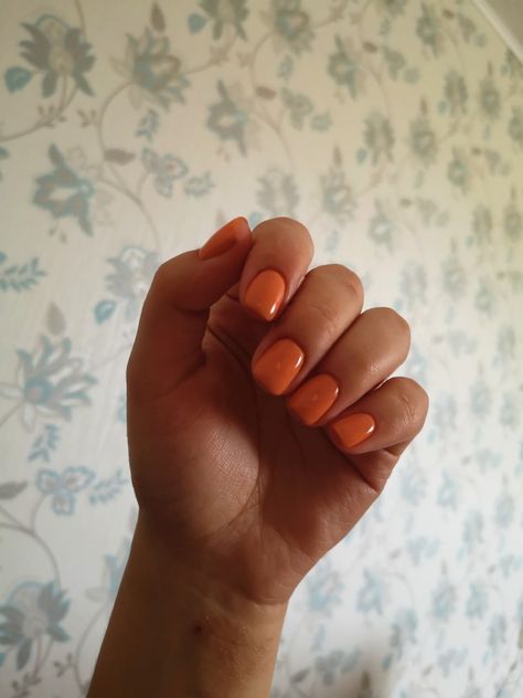 Orange Gel Nails Short, Short Nails Orange, Halloween Nails Acrylic Simple, Short Squoval Acrylic Nails, Orange Short Nails, Orange Nails Short, Short Squoval Nails, Nails Acrylic Simple, Squoval Acrylic Nails