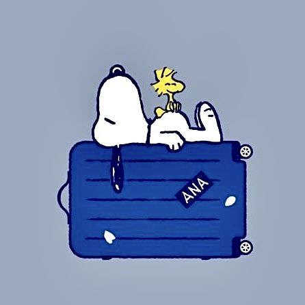 Snoopy And Woodstock, Woodstock, Peanut, Snoopy, Funny