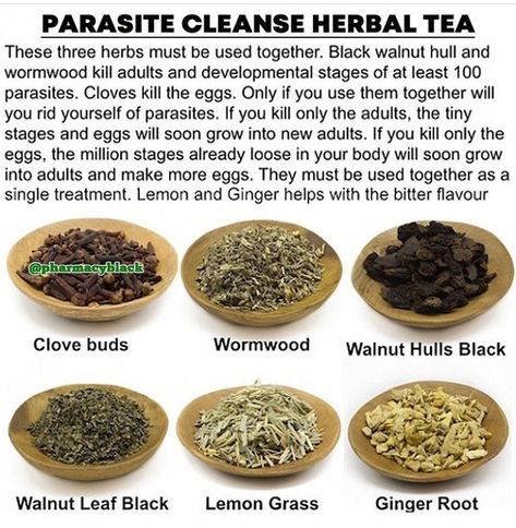 Natural Dewormer For Humans, Herbal Parasite Cleanse, Herbal Remedies Recipes, Parasite Cleanse, Medical Herbs, Natural Healing Remedies, Herbal Healing, Home Health Remedies, Herbs For Health