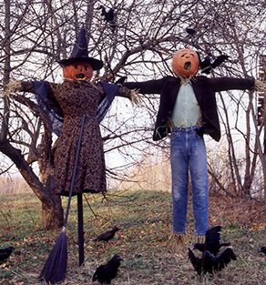 pumpkin head scarecrows Scary Halloween Decorations Diy, Halloween Diy Outdoor, Halloween Scarecrow, Halloween Decorations Diy Outdoor, Easy Halloween Decorations, Scary Halloween Decorations, Theme Halloween, Halloween Photos, Creepy Halloween