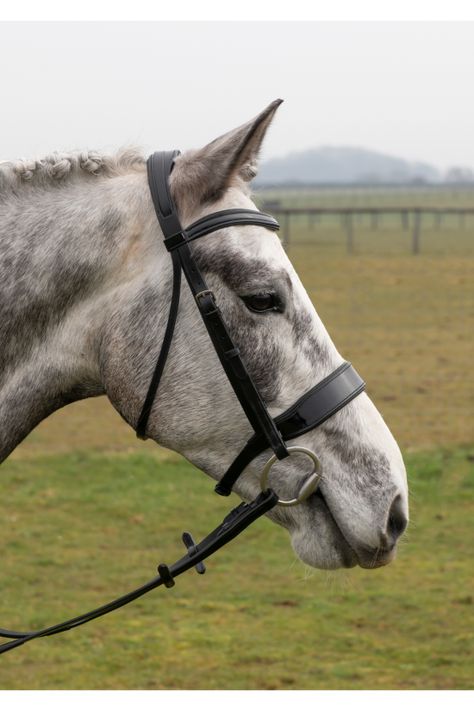 Black Premier Patent Wide Bridle Pony Saddle, Equestrian Aesthetic, English Bridle, Stirrup Leathers, Stirrups, Horse Tack, Leather Chain, Leather Care, Headpiece