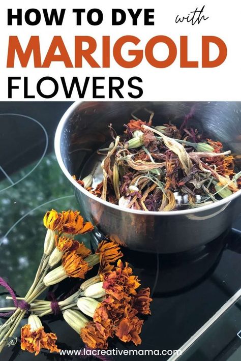 Dyeing With Marigolds, How To Dry Marigold Flowers, Marigold Dye, Diy Halloween Window Decorations, Solar Dyeing, Dried Marigold, Flower Dye, Drying Flowers, Dyeing Tutorials