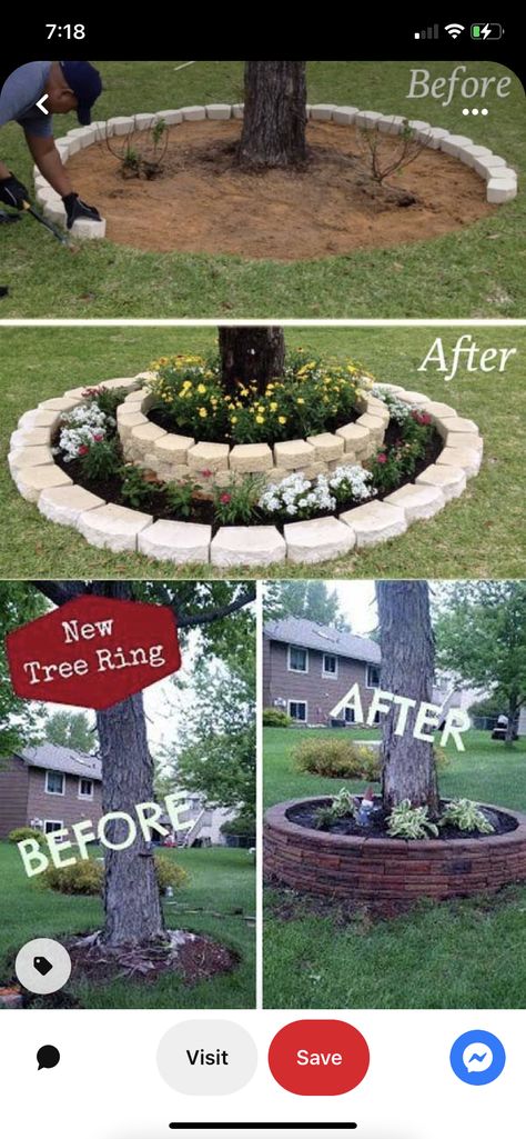 Diy Tree Rings, Landscaping Around Trees, Garden Veggies, Garden Design Plans, Front Patio, Garden Trees, Gnome Garden, Beautiful Tree, Growing Vegetables