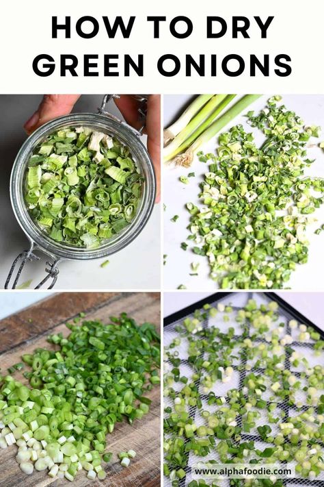 How to dry green onions (scallions) with and without a dehydrator in just a few simple steps. Perfect for making slices, flakes, and green onion powder to enjoy all year round! Dehydrate Green Onions, Drying Onions, Green Onions Recipes, Dehydrating Food Storage, Scallions Recipes, Dehydrating Food, Dehydrated Onions, Easy Mediterranean Diet Recipes, Dehydrated Fruit