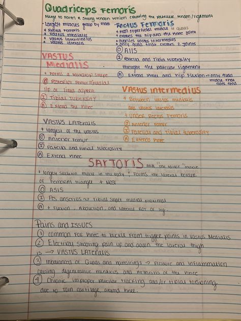 Notes on the quadriceps for LMBT Kinesiology Notes, Physiology Study, Billing And Coding, Anatomy And Physiology, Study Notes, Anatomy, Bullet Journal, Medical, Coding