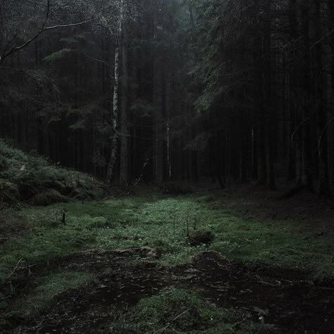 Evil Aesthetic, Woods Aesthetic, Supernatural Aesthetic, Dark Naturalism, Dark Forest Aesthetic, Dark Fairycore, Dark Green Aesthetic, Slytherin Aesthetic, Dragon Age Inquisition