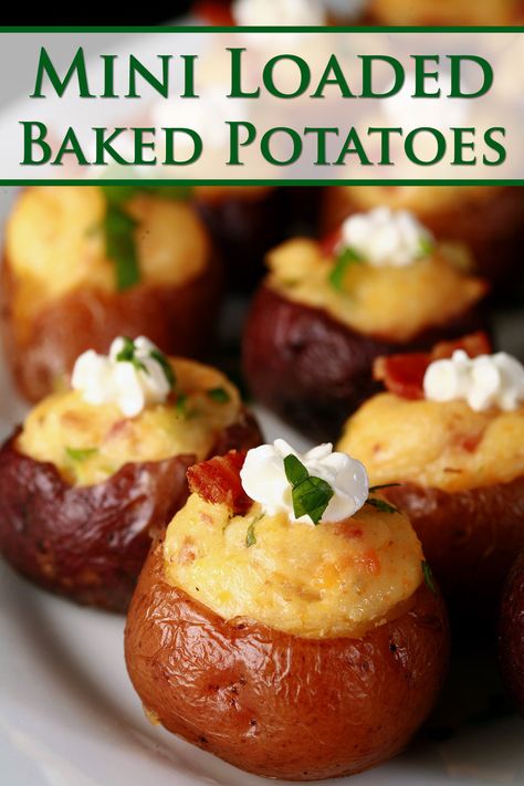 A plate of mini baked potatoes, each topped with bacon, sour cream, and chives. Mini Potato Medley Recipe, Mini Stuffed Potatoes Appetizer Recipes, Baked Potato Cups, Twice Baked Potato Bites, Baked Potato Appetizer, Mini Stuffed Potatoes, Mini Loaded Potatoes, Potatoe Bites Appetizers, Double Stuffed Baked Potatoes