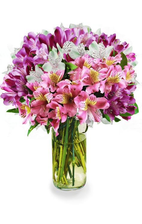 Alstroemeria Bouquet, Basket Flower Arrangements, Anniversary Diy, Order Flowers Online, Flower Arrangements Diy, Same Day Flower Delivery, Perfect Garden, Bouquet Of Flowers, Flowers Online