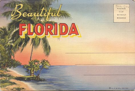 1940 Florida fold-out postcard #florida Formal Cooler Ideas, Weekend In Miami, Beautiful Florida, Florida Art, Design Stickers, Florida Girl, Travel Postcard, Us States, Old Florida