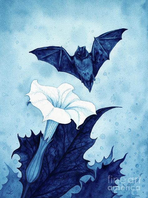 Gothic Flower Painting, Gothic Watercolor Art, Witchy Watercolor, Botanical Gothic, Bat Artwork, Gothic Botanical, Bat Painting, Thorn Apple, Gothic Illustration