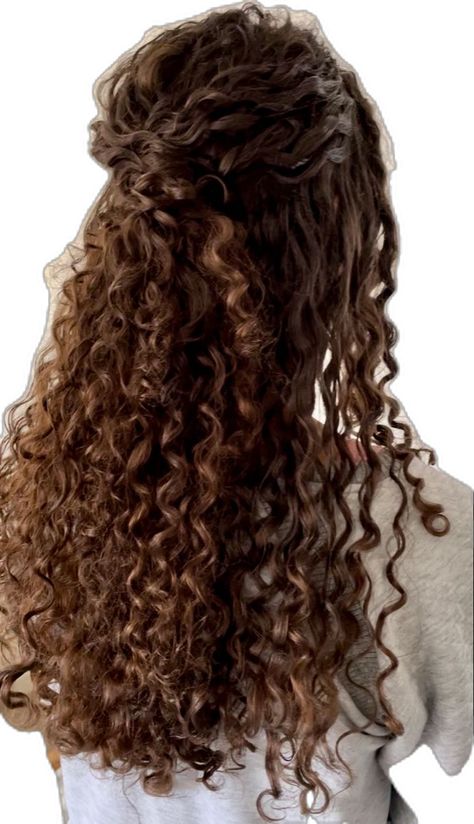 Long naturally curly brunette hair styled for a wedding in half up half down style Naturally Curly Wedding Hair, Wedding Hair Curly, Curly Bride, Curly Bridal Hair, Curly Prom Hair, Curly Wedding Hair, Hairdos For Curly Hair, Natural Curls Hairstyles, Wedding Hair Inspiration