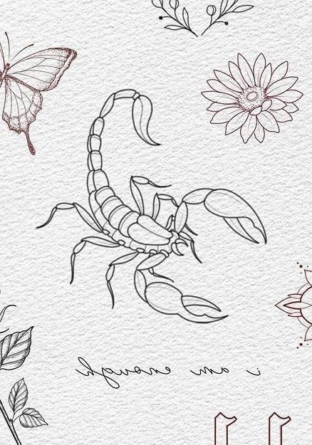 Scorpio Flash Tattoo, Linework Scorpion Tattoo, Fineline Scorpion Tattoo, Scorpion Tattoo Fine Line, Scorpio Tattoo Stencil, Scorpion Tattoo Drawing, Red Scorpion Tattoo, Scorpion Drawing, Scorpion Tattoo Design