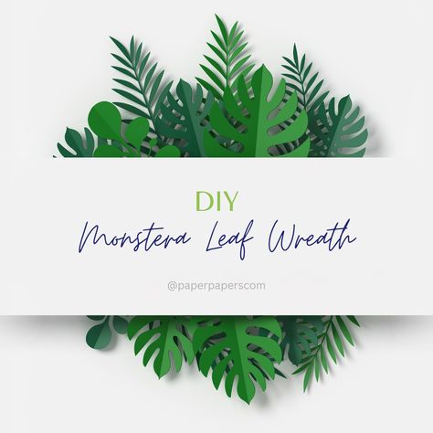 Lia Griffith is so creative! She shows us how to make a Monstera Leaf Wreath! They are so fun to make! Monstera Leaf Wreath: https://www.paperpapers.com/news/monstera-leaf-summer-wreath/ Paper Monstera Leaves, Diy Summer Wreaths, Flower Projects, Diy Summer, Summer Wreaths, Monstera Leaves, Creative Craft, Leaf Wreath, Eco Design