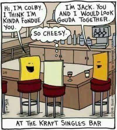 Cheesy humor Argyle Sweater Comic, Kraft Singles, Cheesy Puns, Cheesy Jokes, Corny Jokes, Cute Puns, Bad Puns, Online Comics, Belly Laughs