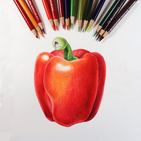 Learn to work with colored pencils and watercolor pencils to create great vibrant color. Online classes:https://www.mindylighthipe.com/online-art-classes/colored-pencil/ Art Du Croquis, Color Pencil Sketch, Prismacolor Art, Pencil Drawing Tutorials, Colored Pencil Artwork, Pencil Shading, Colored Pencil Techniques, 수채화 그림, Colored Pencil Drawing