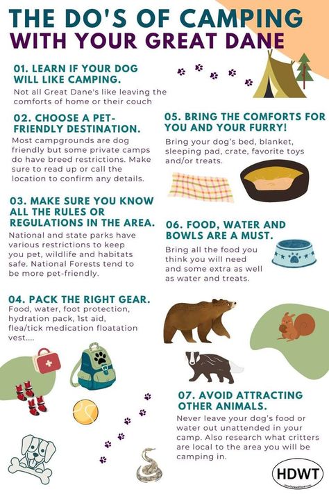 7 tips of what to do when camping with your Great Dane. 1. learn if they like camping 2. find pet-friendly destination 3. know the rules 4. pack the right gear 5. bring comforts 6. food and water bowls 7 avoid attracting other animals. What To Do When Camping, Going Camping, Dos And Don'ts, Gear 5, Go Camping, Great Dane, Camping Gear, Dog Friendly, The Rules