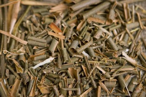 White Willow Bark: The Natural Way to Help Oily Skin Willow Bark Extract, White Willow Bark, Skin Care Benefits, White Willow, Willow Bark, Cleansing Face, Body Bars, How To Make Box, Willow Tree