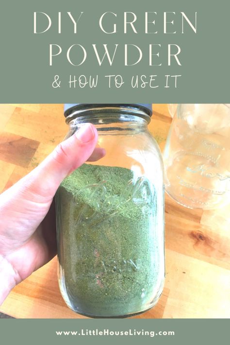 Want to add a boost of nutrition into your foods all year round? Try making your own Green Powder Blend! It's easy to make and store. Green Powder Drink, Dehydrating Food Storage, Broccoli Leaves, Cauliflower Leaves, Preserving Vegetables, Super Greens Powder, Greens Powder, Dehydrated Vegetables, How To Make Greens