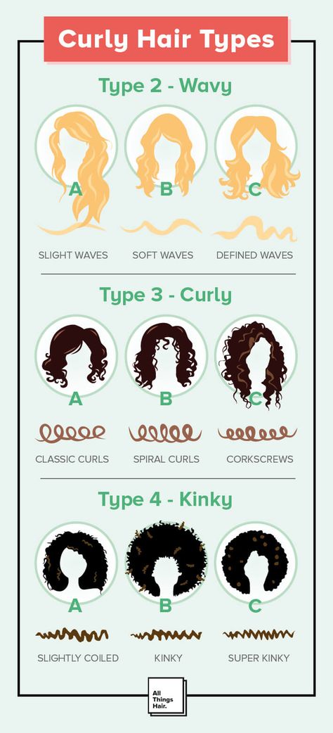 Types Of Hair Styles, Hair Type Chart, Hair Craft, Haircut Types, Curly Hair Types, Types Of Hair, Curly Girl Method, Curl Pattern, Craft House