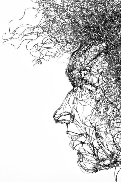 Galvanized steel wire, Noah Saunders Wire Face Sculpture, Wire Portrait Sculpture, Wire Portraits, Cardboard Art Sculpture, Landscape Design Drawings, Wire Art Sculpture, Animal Illustration Art, Cardboard Sculpture, Art Photography Portrait