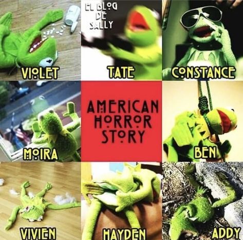 This is so accurate 😂 American Horror Story Hayden Ahs, American Horror Story Nails, Ahs Merch, American Horror Story Wallpaper, Hayden American Horror Story, American Horror Story 5, American Horror Story Twitter Header, Ahs Funny, American Horror Story Tumblr