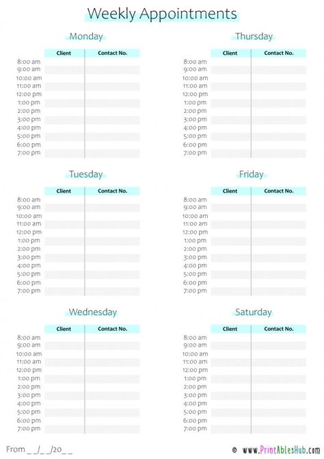 Free Printable Weekly Appointments Planner Template Sheet PDF Salon Organization Ideas, Business Daily Planner, Cosmetology State Board, Weekly Appointment Planner, Business Planner Printables, Free Weekly Planner Templates, Daily Planner Printables Free, Appointment Planner, Client Management