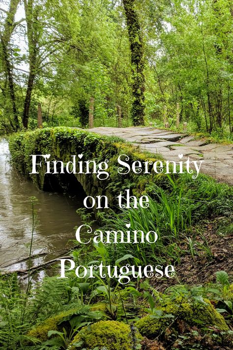 Camino Portuguese, The Camino, Long Walk, Lisbon, Beautiful Day, Spring Flowers, Vision Board, Portugal, Spain