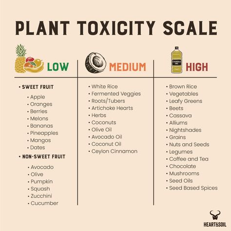 Carnivore Diet Veggies, Heart And Soil Diet, Animal Based Diet Benefits, Animal Based Carnivore, Heart And Soil Supplements, Carnivore Quotes, Animal Based Grocery List, Animal Based 30, Animal Based Eating