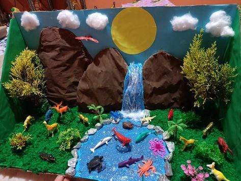 3d Forest Project, Diorama Animal Habitat, Forest Ecosystem Project, Diorama Nature, Diorama Kids, Nature Crafts Kids, Ecosystems Projects, Habitats Projects, Bee Crafts For Kids