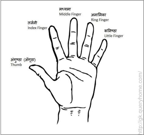 (1) What are the names of five fingers in Human Hand? Fingers Meaning, Tamil Images, Finger Meaning, Funny Wishes, Middle Finger Ring, Healthy Lifestyle Quotes, Word Online, School Communication, Creating A Newsletter