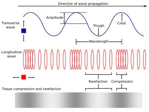 Mechanical Wave, Longitudinal Wave, Centripetal Force, Types Of Waves, Science Notes, What Is Meant, Engineering Technology, Natural Bath, Circuit Diagram