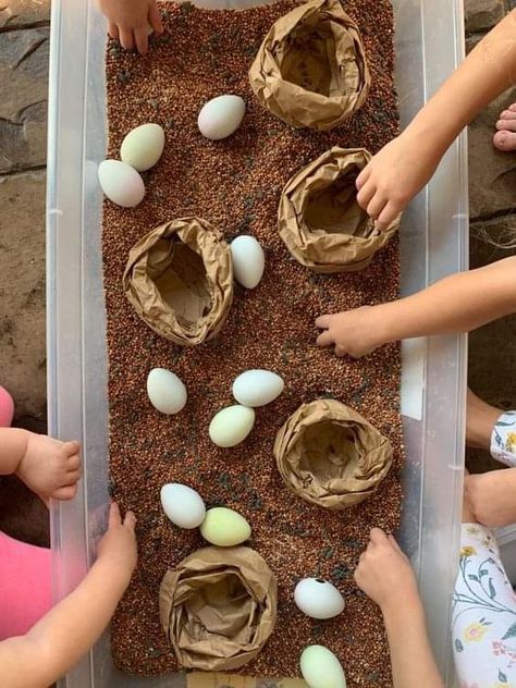 Egg Activities, Toddler Sensory Bins, Toddler Sensory, Spring Preschool, Sensory Boxes, Daycare Activities, Sensory Table, Bird Theme, Kids Sensory