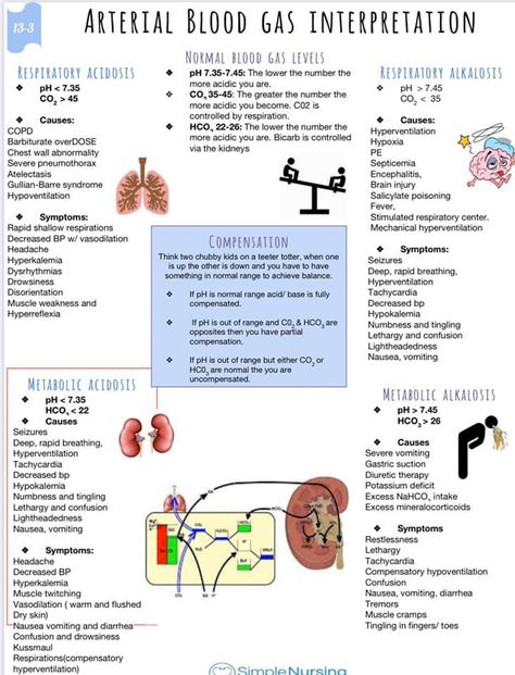 Respiratory System Nursing, Agacnp Study, Er Nurse Notes, Npte Study Tips, Pcu Nurse Tips, Abgs Nursing Cheat Sheets, Ccrn Study Plan, Nicu Nurse Study Notes, Medsurg Nursing Study Guides