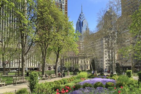 Rittenhouse Square, Bachelorette Party Destinations, Shady Tree, It's Always Sunny In Philadelphia, Sunny In Philadelphia, Brotherly Love, Breathtaking Beauty, Urban Spaces, New City