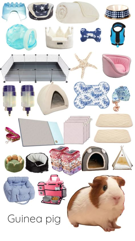 Guinea Pig Cage Ideas Aesthetic, Guinea Pig Cage Ideas, Indoor Guinea Pig Cage, Hedgehog Cage, Diy Guinea Pig Cage, C&c Cage, Guinea Pig Accessories, Guinea Pig House, Indoor Rabbit