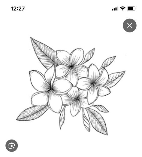 Hawaiian Flower Sketch, Tiare Flower Drawing, Plumeria Flower Tattoos Hawaii, Guam Drawings, Frangipani Flower Drawing, Fine Line Frangipani Tattoo, Frangipani Flower Tattoo, Plumeria Flowers Tattoo, Plumeria Drawing