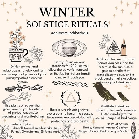 A N I M A M U N D I Apothecary on Instagram: “This solstice weekend is quite an astronomical spectacle! The age of Aquarius is here ✨Jupiter enter aquarius, to join Saturn 🪐 TODAY…” Winter Solstice Rituals, Winter Solstice Party, Winter Solstice Celebration, Solstice Party, Solstice Celebration, Witch Tarot, Wiccan Magic, Witchcraft Spell Books, Tarot Reader