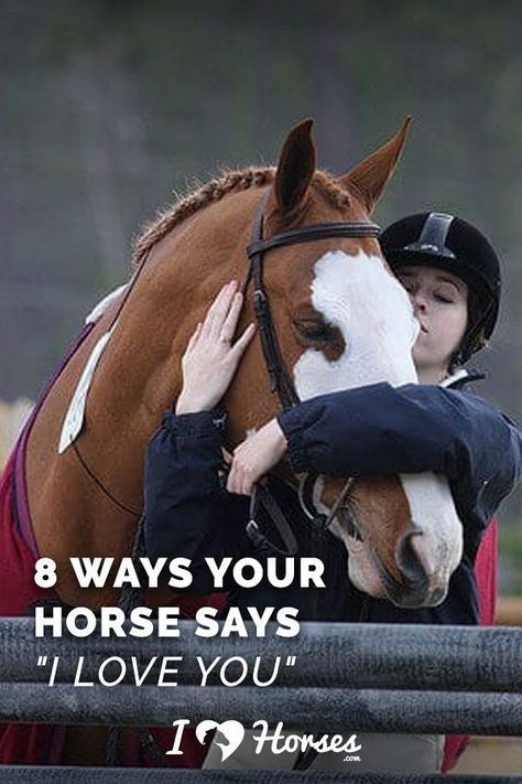 Tackroom Ideas Equestrian, Horse Show Outfits, Bonding With Horse, Bonding With Your Horse, Cute Horse Quotes, Horse Bond Quotes, Horse Lifestyle, Heart Horse Quote, Owning A Horse