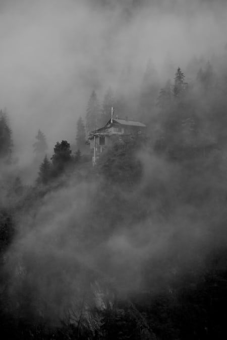 Creepy Fog, True Creepy Stories, Mysterious Photography, Images Terrifiantes, Photo Halloween, Image Halloween, Horror Pictures, Creepy Images, Mystery Pictures