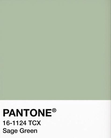 Pantone Sage Green Colour Palettes, Room Color Ideas Sage Green, Pantone Colors Sage Green, Sage Pantone Color, Sage Green Pantone Colour Palettes, Sage Green Paint Swatch, Sage Green Color Swatch, Matcha Green Paint, Pastel Green Pantone