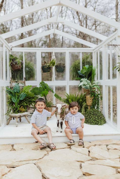 Mini Greenhouse Photoshoot, Greenhouse Christmas Minis, Diy Greenhouse Photography Studio, Greenhouse Christmas Photos, Greenhouse Mommy And Me Photoshoot, Spring Mini Session Ideas, Macrame Photography, Photoshoot Studio Ideas, Greenhouse Photoshoot