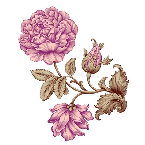 Rose flower vintage pink Baroque Victorian floral ornament frame border golden leaf scroll engraved red pattern decorative tattoo vector illustration Victorian Rose Illustration, Baroque Flowers, Vintage Flower Illustration, Rose Ornament, Pink Baroque, Rose Flower Print, Tattoo Vector, Botanical Flower Art, Flower Symbol