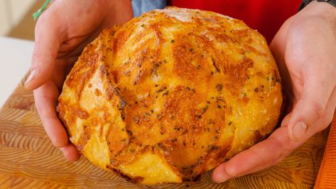 No knead cheese bread | Andy's East Coast Kitchen 2 Hr No Knead Bread, Andy’s East Coast Kitchen Cheese Bread, Cheese Bread No Knead, No Knead Cheesy Herb Bread, Fool Proof Cheese Bread, No Knead Cheese Bread Dutch Ovens, No Knead Cheese And Herb Bread, No Knead Cheese Bread, Easy Cheese Bread