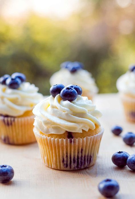 These blueberry cupcakes are filled with fresh blueberries and topped with airy sweetened whipped cream. Forbidden Food, Blueberry Cupcakes Recipe, Cupcake Receptek, Blueberry Cupcake, Vegan Cupcake Recipes, Lemon Blueberry Cupcakes, Blueberry Desserts Recipes, Healthy Cupcakes, Summer Cupcakes